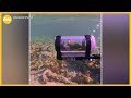 Parrot Explores The Ocean In DIY Submarine
