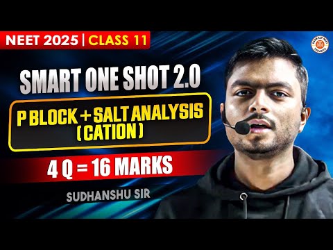 P BLOCK ELEMENTS CLASS 11 SMART ONE SHOT | COMPLETE CHAPTER REVISION NEET 2025 | BY SUDHANSHU SIR