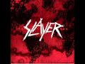 Slayer - Public Display Of Dismemberment