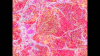 Top 40 Hits Of 1946 14 Sammy Kaye I'm A Big Girl Now