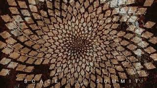 Scale the Summit - Whales [HQ]