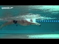 Butterfly Swimming Technique Stroke