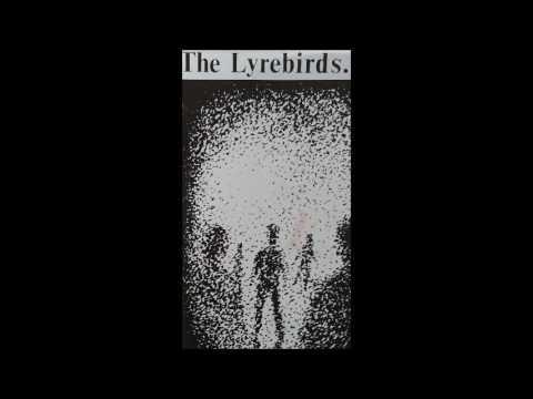 The Lyrebirds - Into the Light