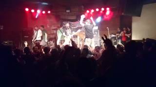 Belvedere - 2nd Column - Curitiba Music Hall 2016