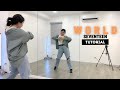 SEVENTEEN 세븐틴 WORLD Pre Chorus Chorus Tutorial Slowed Mirrored Heymisstatj