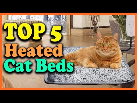 Top 5 Best Heated Cat Beds in 2022