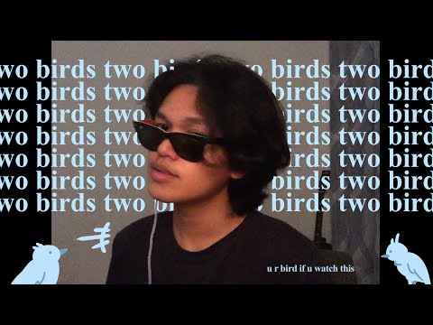 two birds - regina spektor // cover