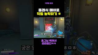 메이로 적팀 농락하기~