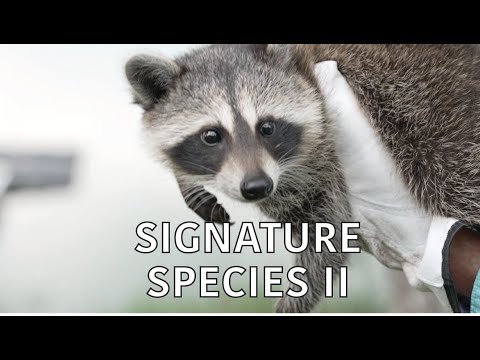 Coastal Kingdom | Season 4, Episode 2 – ‘Signature Species II’ | Full Episode
