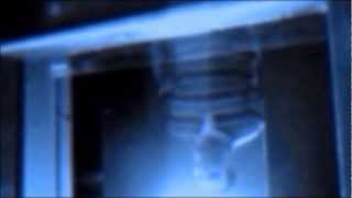 new fast automatic daffodils part4.video