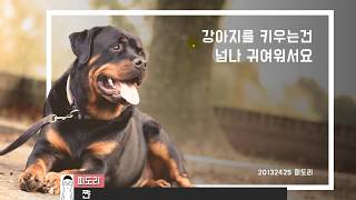 배경제거만 알면.. 센스터지는 표지를 만들 수 있찌..