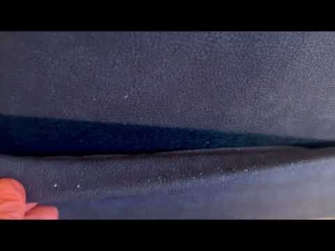 So Many Bed Bugs in the Recliner in Lakewood, NJ