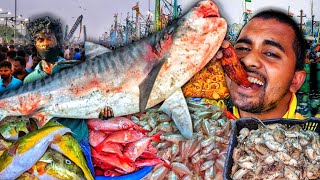 🔥காசிமேடு மீன் மார்க்கெட் A to Z | KASIMEDU FISH MARKET | SEA FOOD | SQUID | ATLAPPAM CHENNAI | K7