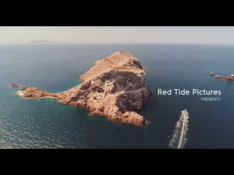 Spearfishing and Blue Water World Cup