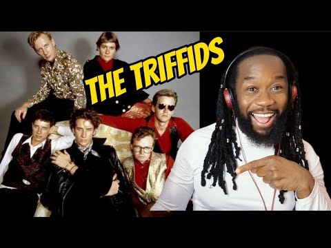 The Triffids - A Trick Of The Light REACTION - A fantastic song representing the great 80s!