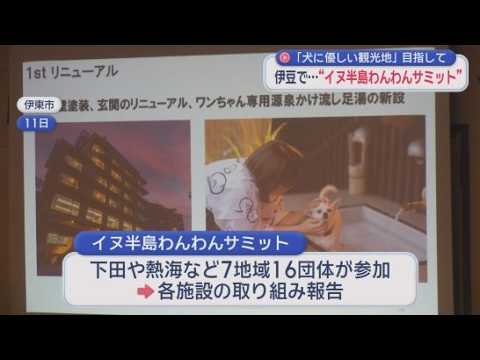 YouTube Video 「犬にやさしい観光地」形成めざし『イヌ半島わんわんサミット』　ペットフレンドリーなエリアを伊豆半島全域に広げたい　静岡・伊東市　