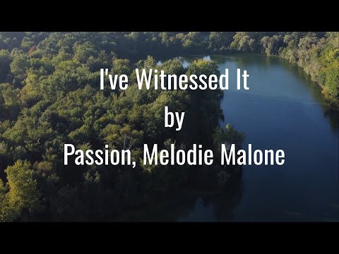 I've Witnessed It - Passion, Melodie Malone (Lyric Video)