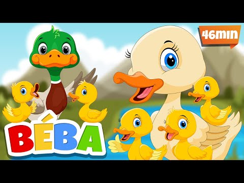 PĚT KACHNIČEK  | Strýček Donald | Kola Autobusu | České písničky pro děti @bebapisnicky