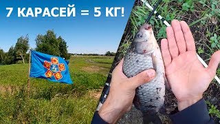 Ловля карася на донку в августе