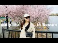 Boston Life Vlog 🇺🇸 solar eclipse  🌘 Great Taste Dimsum Chinatown 🥟 Shake Shack 🍔 Tatte Cafe #spring
