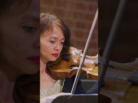 It's Telemann time! ❤️ #Violin #concert #telemann #baroque