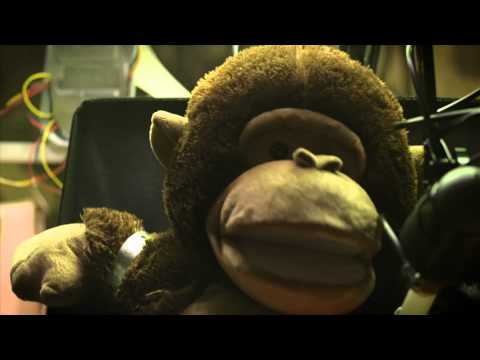 Inertia - Trapdoor Social