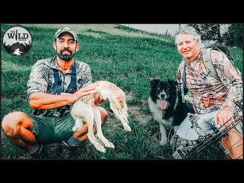 HUNT AND COOK WILD HARE!