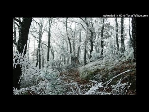 00 KALU SI FRATII BOBOCEI  COLAJ 9 MIN