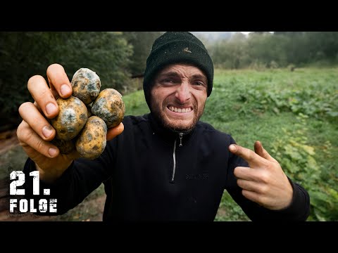 Unsere Vorräte VERSCHIMMELN! | Tag 21/100 autark