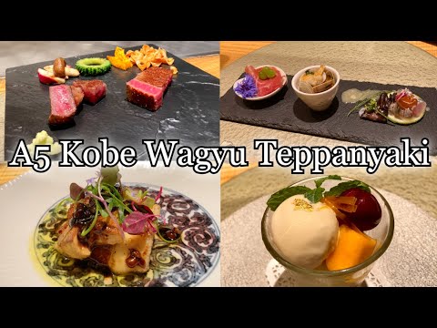 $200 A5 Rank Kobe Wagyu Beef Teppanyaki course meal "Kaoru" at Shiroya Ginzatei [ASMR Cooking]