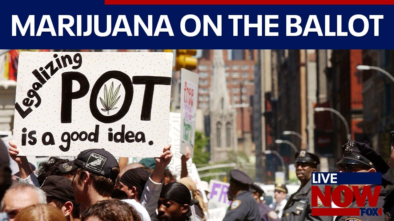Election Day: Marijuana on the ballot across 4 states | LiveNOW from FOX