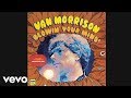 Van Morrison - Brown Eyed Girl 