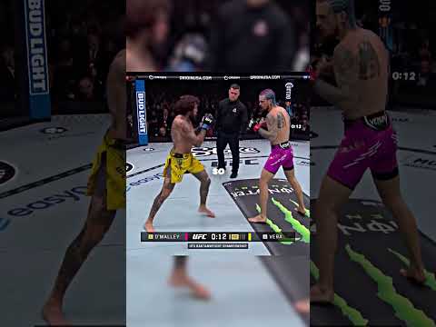 The Perfect MMA Counter