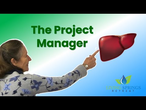 The Liver - The Project Manager