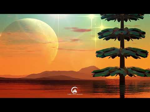 Crows Labyrinth & Pulse Mandala - Astral Solstice (Valley View Records)