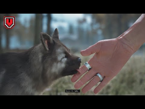 DAYS GONE: Have It Your Way (Hard) // Walkthrough gameplay #51 | PS4 Pro