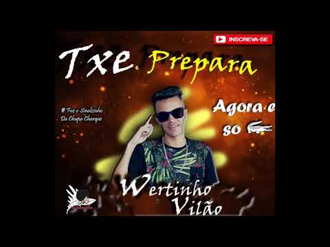 WERTINHO VILAO - TXE PREPARA