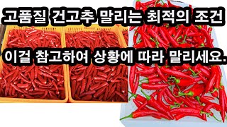 고품질 건고추 말리는 최적의 조건!!! 이걸 참고하여 주어진 상황에 따라 말리세요. 빨리 마르고 품질 좋은 …