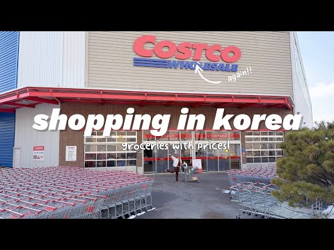 shopping in korea vlog 🇰🇷 grocery food haul with prices 🍒 Costco again!