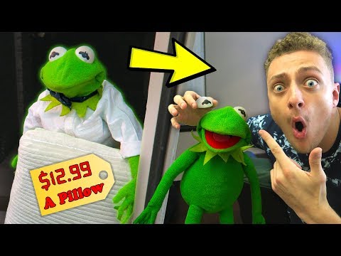 Kermit the Door Salesman! (GONE WRONG)