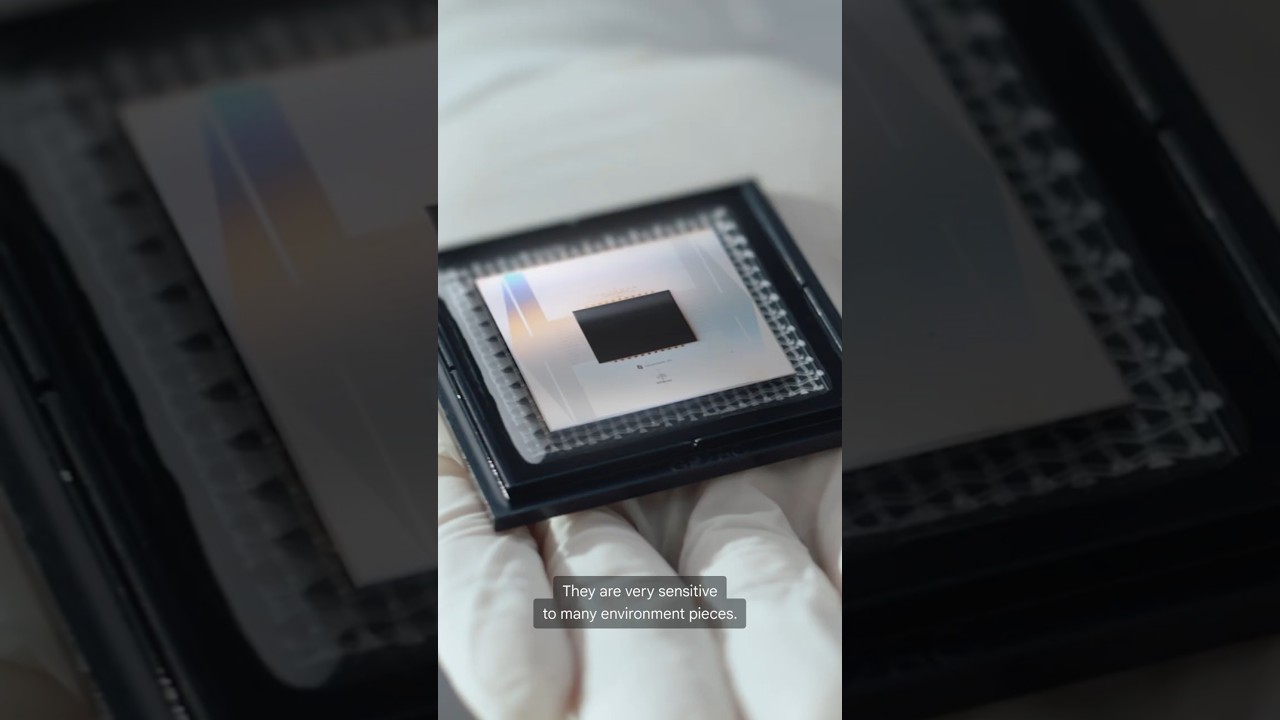 The hardware behind Quantum Echoes