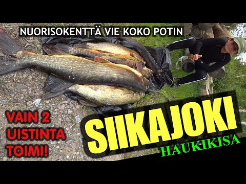 SIIKAJOKI KALASTUS - Haukikisa Samulin ja Arin kanssa ( Oulunseudun Kalapaikat - Pike Fishing )