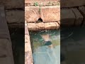 Under Water Shiva Temple Badami Know Temples