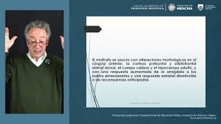 10.2 Efectos de la violencia en la salud mental de niños y adolescentes | Dr. Schroeder