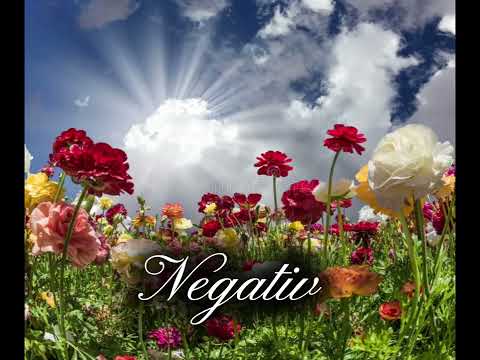 Negativ- Doresc să fie numai crini - Marius Nikulcha- Nicu Wagner 