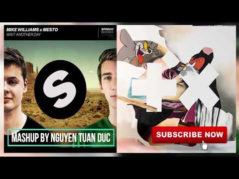 Martin Garrix & Mike Williams - Spotless Another Day (Mashup) by Nguyen Tuan Duc