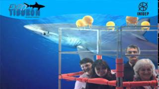 DIA 2 Expo Tiburon156