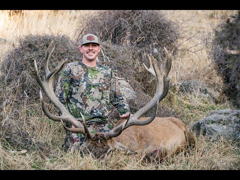 Free Range Red Stag Hunt with Blackstone Outfitters New Zealand