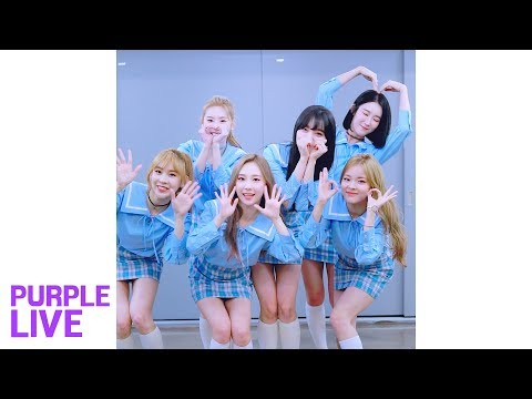 [Purple LIVE / Random Relay] S.I.S - 응 (SAY YES)