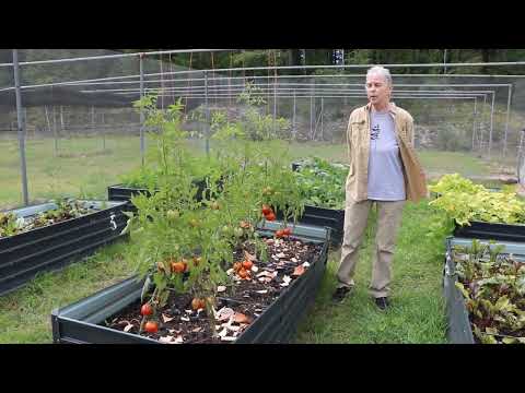 Terra Preta in Action – Midseason Insights